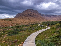 Park Narodowy Gros Morne